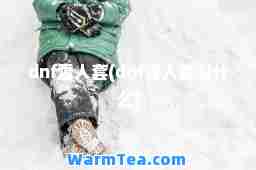 dnf雪人套(dnf雪人套叫什么)