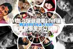 dnf怎么镶嵌徽章(dnf镶嵌徽章在哪里可以获得)