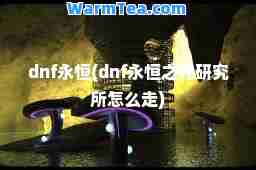 dnf永恒(dnf永恒之光研究所怎么走)