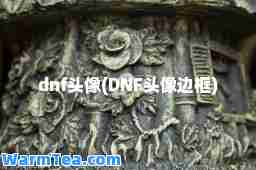 dnf头像(DNF头像边框)