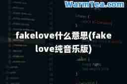 fakelove什么意思(fakelove纯音乐版)