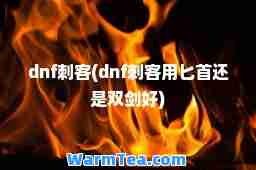 dnf刺客(dnf刺客用匕首还是双剑好)