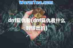 dnf复仇者(dnf复仇者什么时候出的)