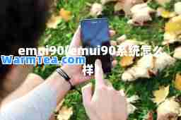 emui90(emui90系统怎么样) emui90(emui90系统怎么样)