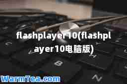 flashplayer10(flashplayer10电脑版)