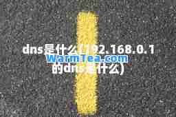 dns是什么(192.168.0.1的dns是什么)