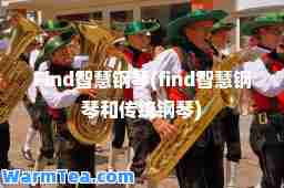 Find智慧钢琴(find智慧钢琴和传统钢琴)