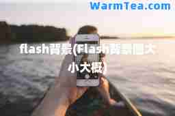 flash背景(Flash背景图大小大概)