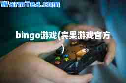 bingo游戏(宾果游戏官方)
