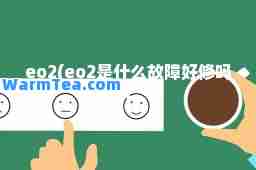 eo2(eo2是什么故障好修吗)