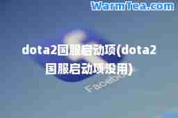 dota2国服启动项(dota2国服启动项没用)