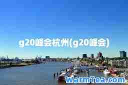 g20峰会杭州(g20峰会)