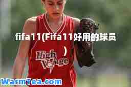 fifa11(Fifa11好用的球员)