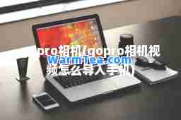 gopro相机(gopro相机视频怎么导入手机)