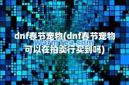 dnf春节宠物(dnf春节宠物可以在拍卖行买到吗)