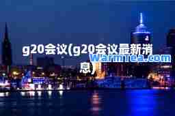 g20会议(g20会议消息)