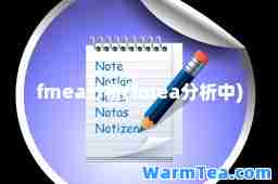 fmea分析(fmea分析中)