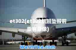 et302(et302航班坠毁前乘客录像)