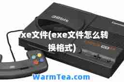 exe文件(exe文件怎么转换格式)