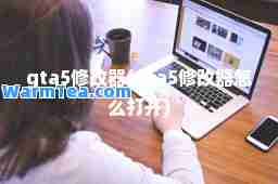 gta5修改器(gta5修改器怎么打开)