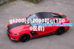 gt200(gt2000和gt1000区别)