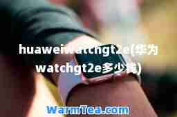 huaweiwatchgt2e(华为watchgt2e多少钱)