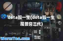 dota毁一生(dota毁一生 魔兽穷三代)