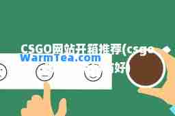 CSGO网站开箱(csgo哪些开箱网站好)