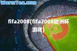 fifa2008(fifa2008欧洲杯游戏)