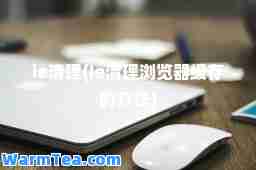 ie清理(Ie清理浏览器缓存的方法)