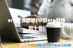 erp什么意思(中国erp软件前十名)