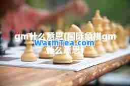 gm什么意思(象棋gm什么意思)