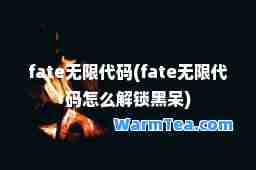 fate无限代码(fate无限代码怎么解锁黑呆)