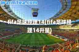 fifa足球经理14(fifa足球经理14升星)