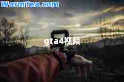 gta4视频