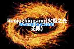 huojuzhiguang(火炬之光无限)