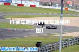 f1赛车明星(f1赛车明星中国)