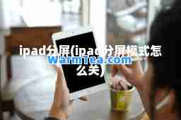 ipad分屏(ipad分屏模式怎么关)