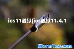 ios11越狱(ios越狱11.4.1)