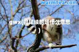 gwx(狗尾续貂是什么意思)