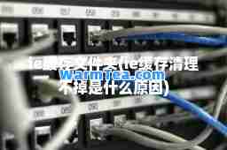 ie缓存文件夹(ie缓存清理不掉是什么原因)