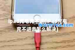 ipad充电充不进(iPad充电充不进去怎么解决)