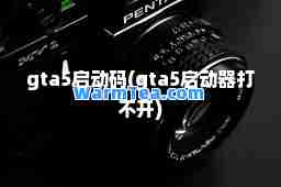 gta5启动码(gta5启动器打不开)