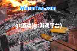 gt游戏(gt游戏平台)