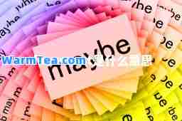 document是什么意思