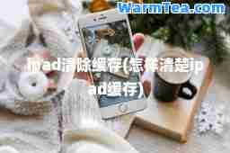 ipad清除缓存(怎样清楚ipad缓存)
