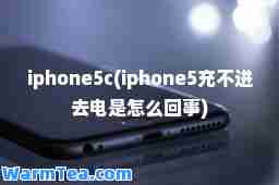 iphone5c(iphone5充不进去电是怎么回事)