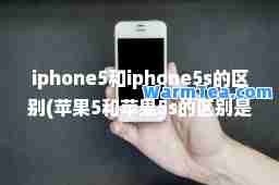 iphone5和iphone5s的区别(苹果5和苹果5s的区别是什么)