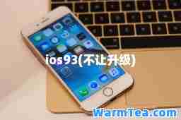 ios93(不让升级)