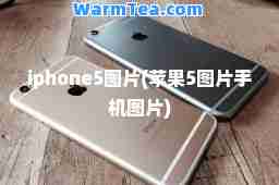 iphone5图片(苹果5图片手机图片)